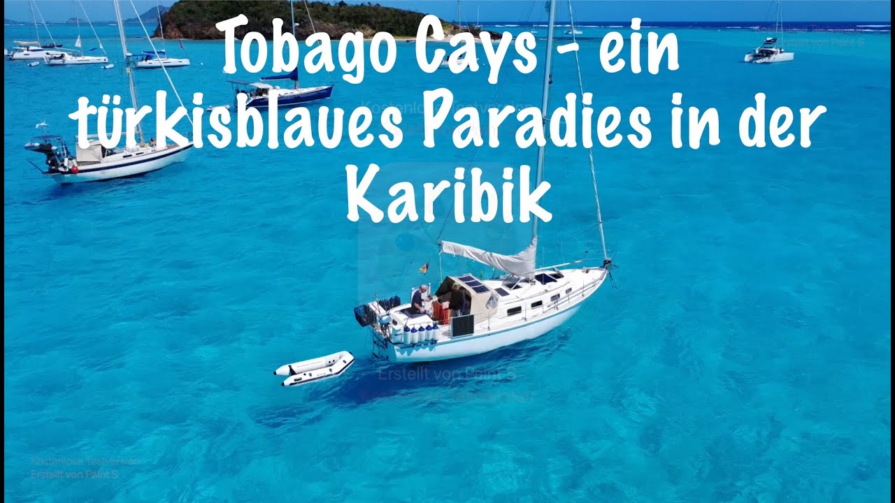 Ein türkisblaues Paradies entdeckt mit den Tobago Cays in der Karibik
