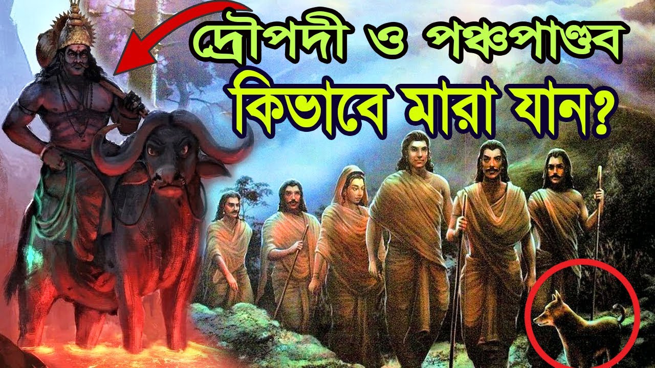 দ্রৌপদী ও পঞ্চপাণ্ডব কিভাবে মারা যান? How did Draupadi and Pancha Pandavas End Up?