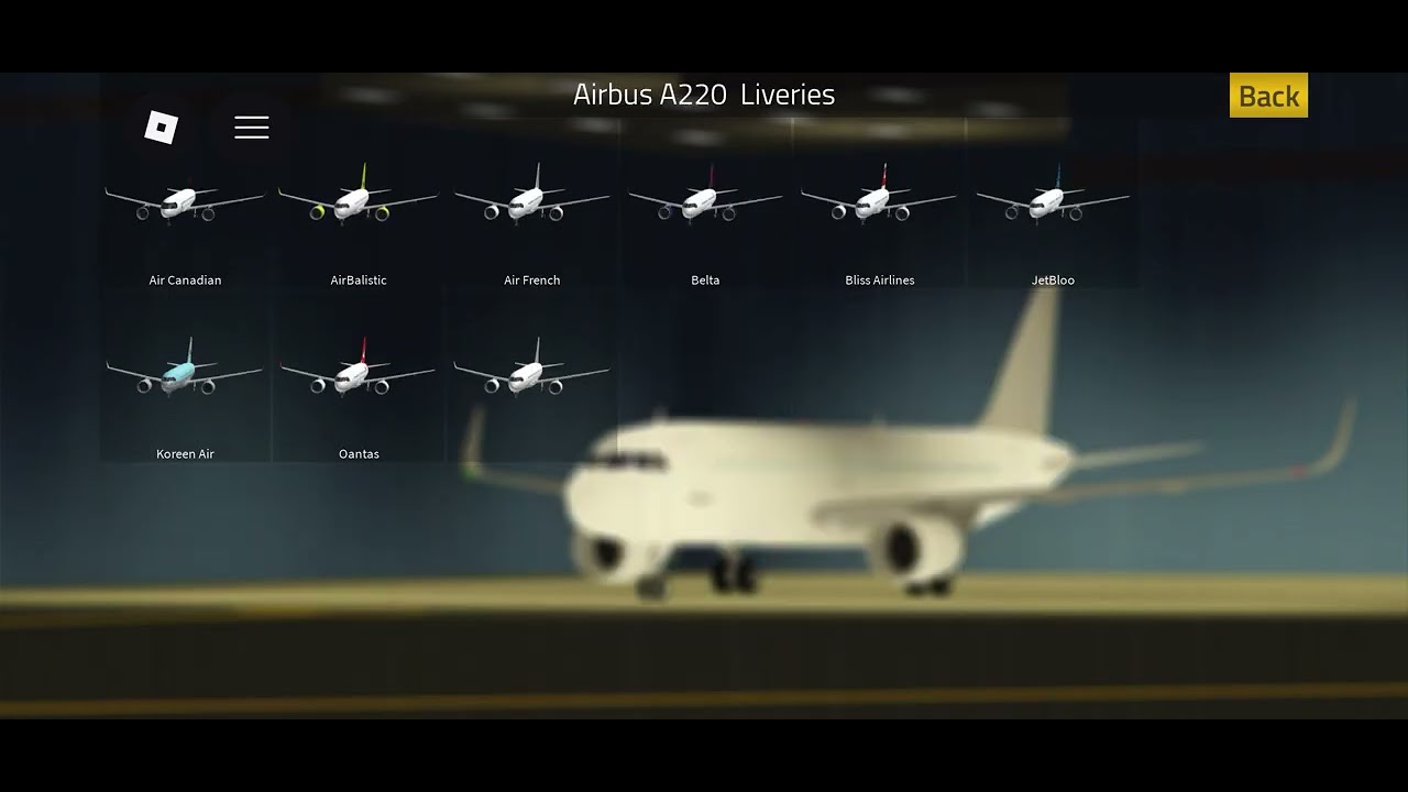 First time flying a airplane