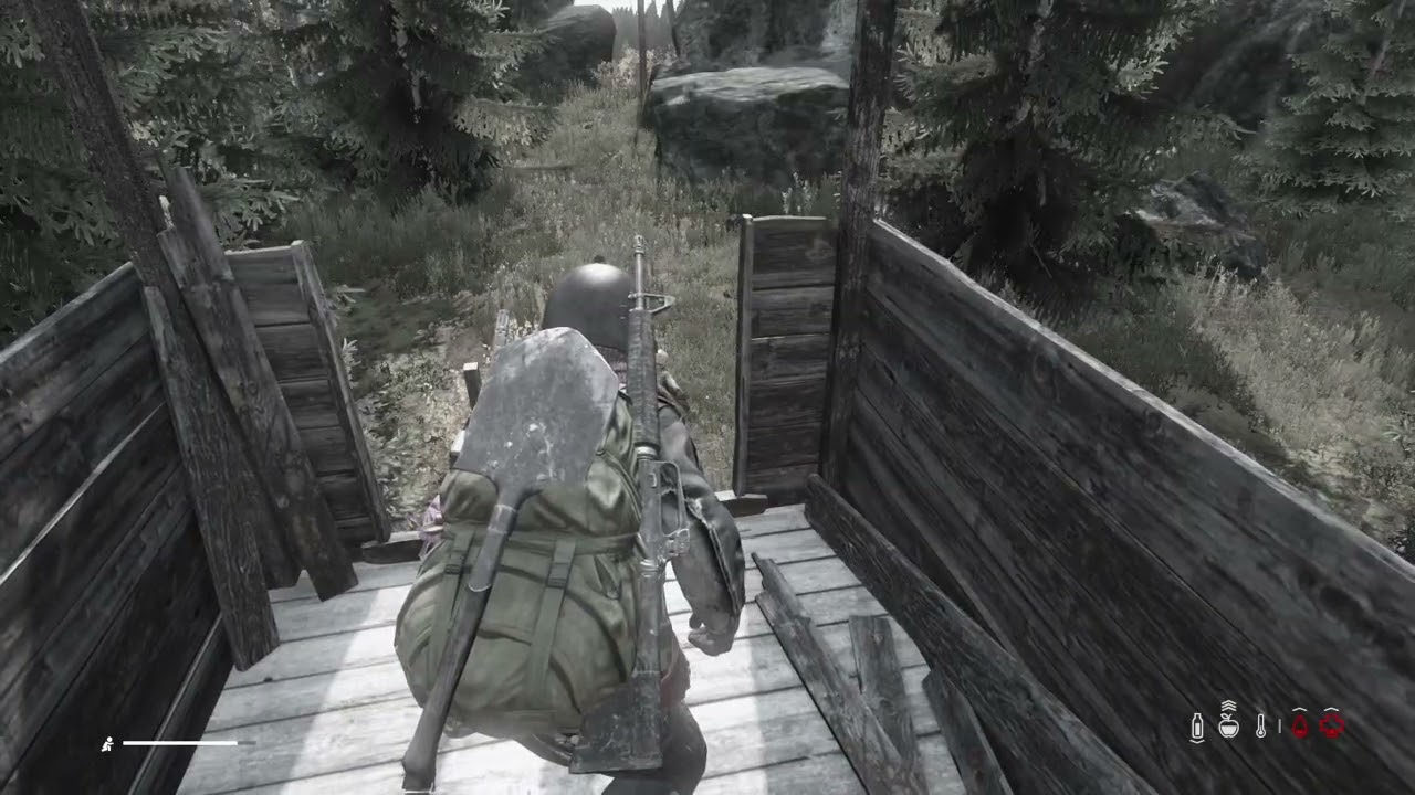 DayZ_20260305202733