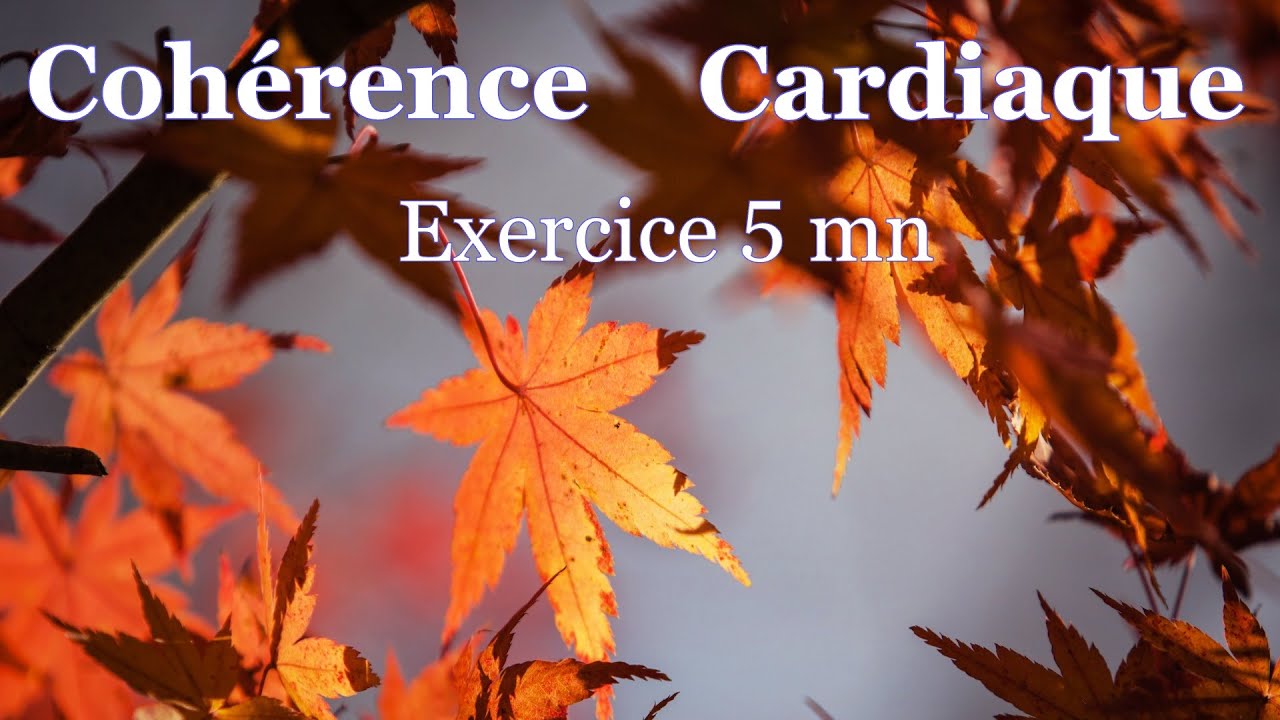 coherence cardiaque exercice 5 mn