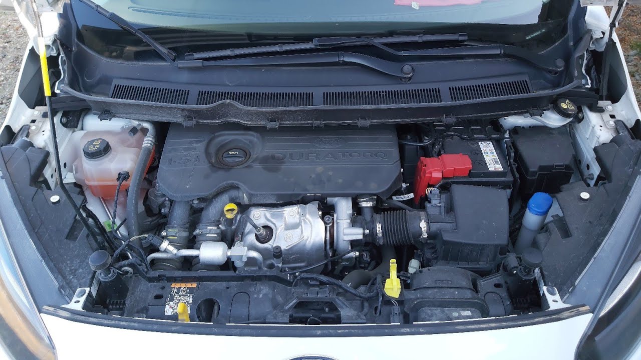 FORD COURİER MOTOR KAPUT ALTI/EHLİYETTE SORULAN SORULAR?/ÖNEMLİ NOKTALAR/2021 GÜNCEL TRAFİK SORULARI