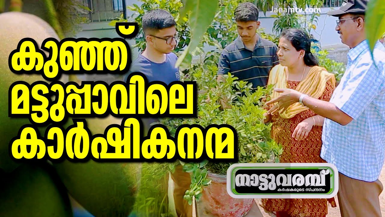 കുഞ്ഞ് മട്ടുപ്പാവിലെ കാർഷികനന്മ | NATTUVARAMBU #236 | JANAM TV