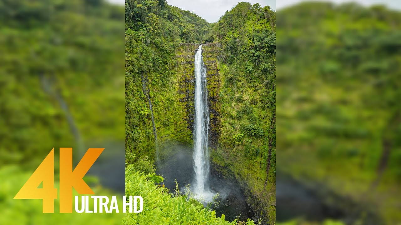 The Beauty of Nature for Vertical Displays - Short Preview Video