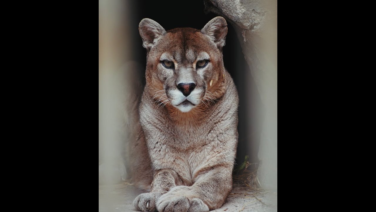 El ex zoológico de Córdoba ahora es un Parque de la Biodiversidad