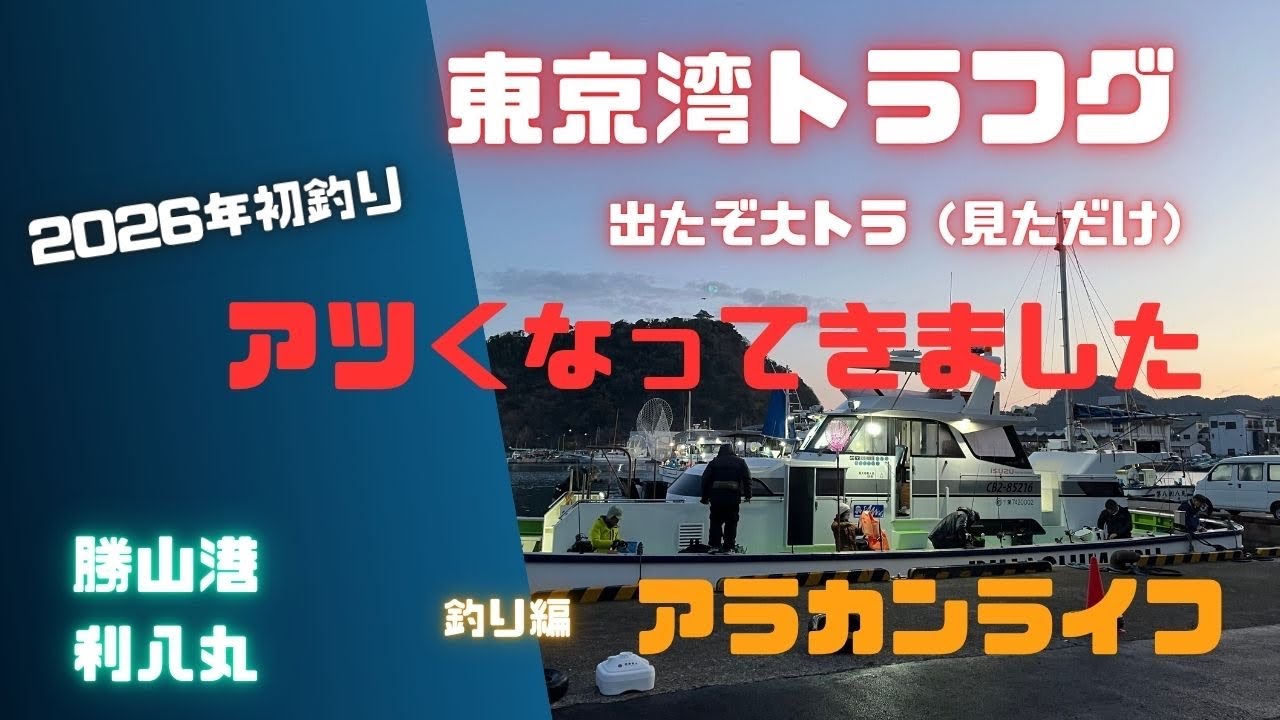 東京湾トラフグ　2026年3月18日　勝山港　利八丸