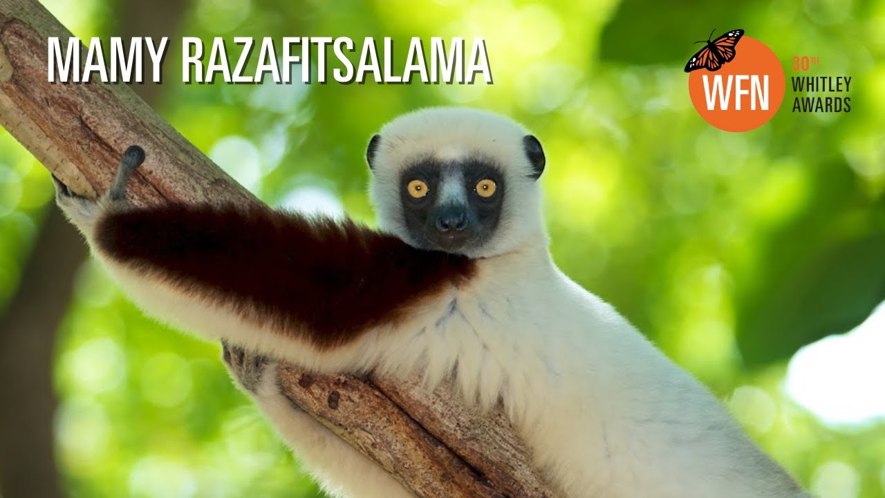 Mamy Razafitsalama | Sir David Attenborough presents 2023 Whitley Award winner | Madagascar