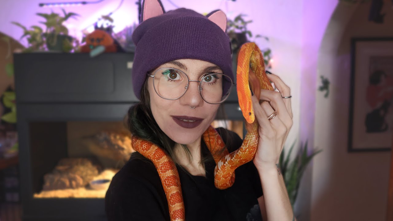 My Snake Enclosures got TOO SMALL??.. the BIG REVEAL from Custom Reptile Habitats