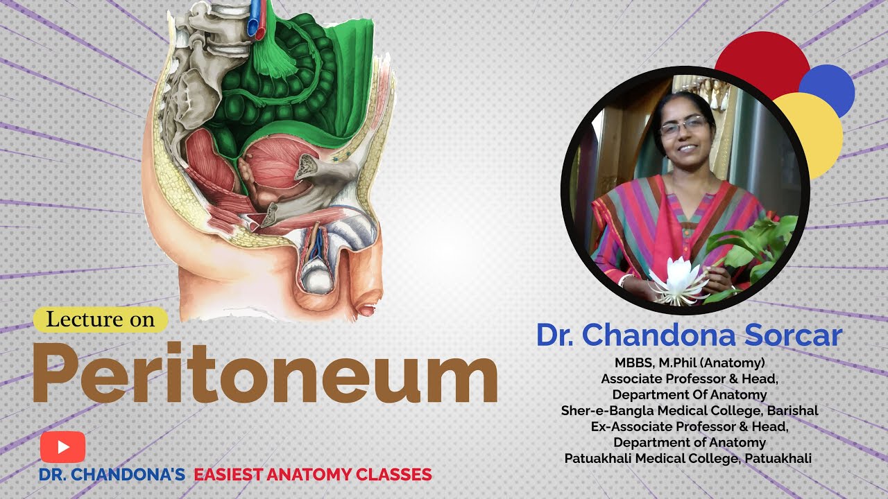 Lecture on Peritoneum