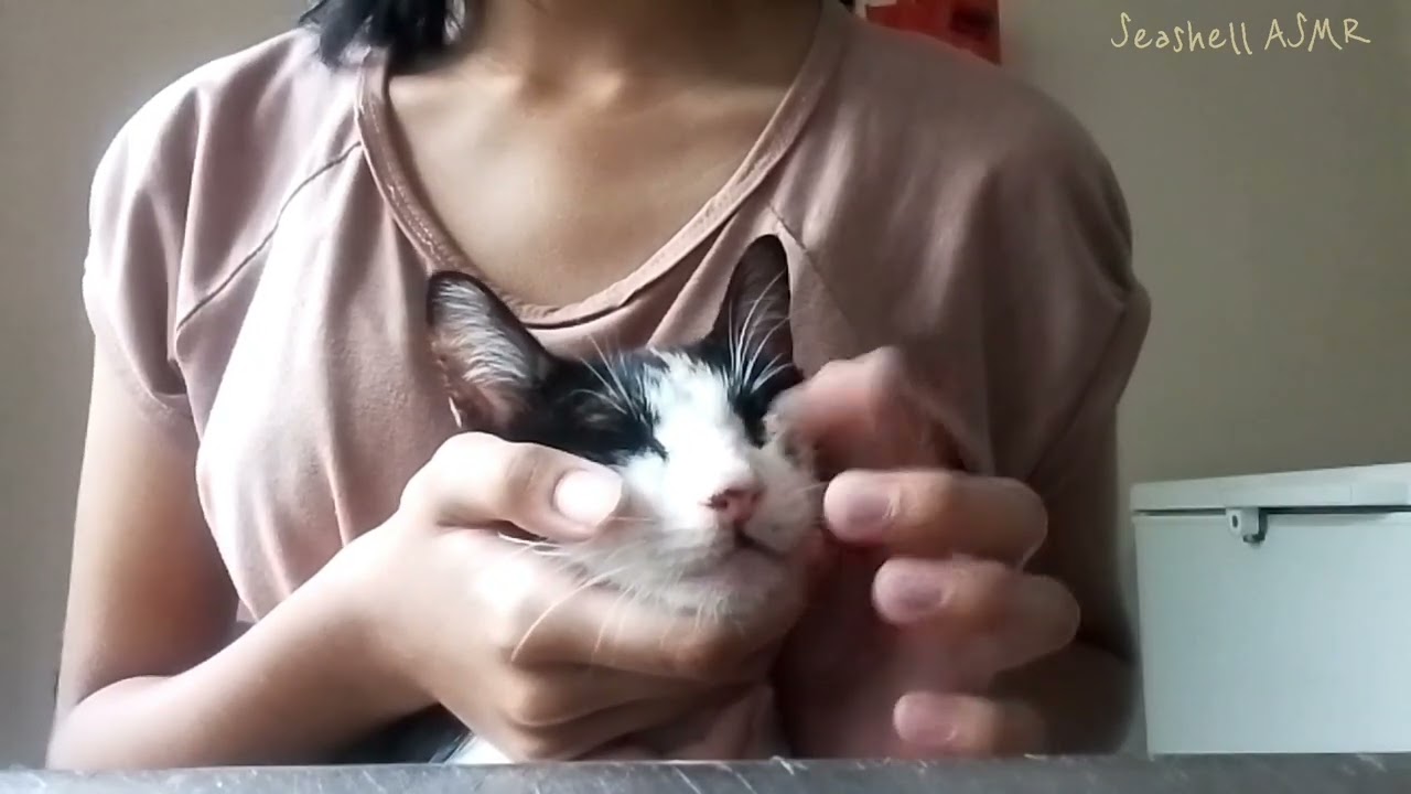 ASMR | Tapping a Cat (W/ Mouth Sounds)