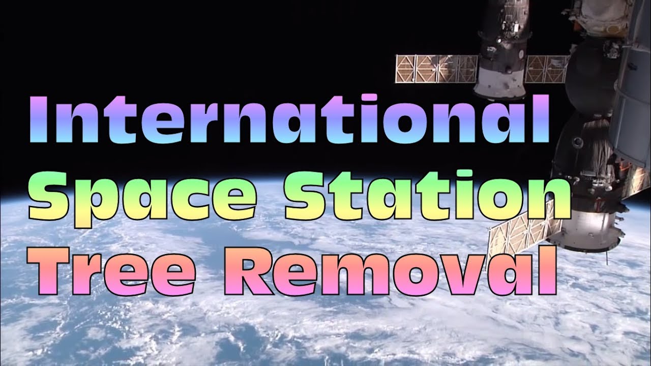 International Space Station Tree Removal Prank Call