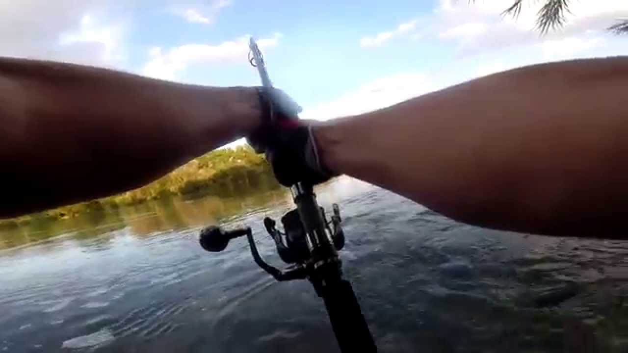 BIG CATFISH - SILURE - WELS 2+ vs. ZENAQ Fokeeto Trevally 80-10