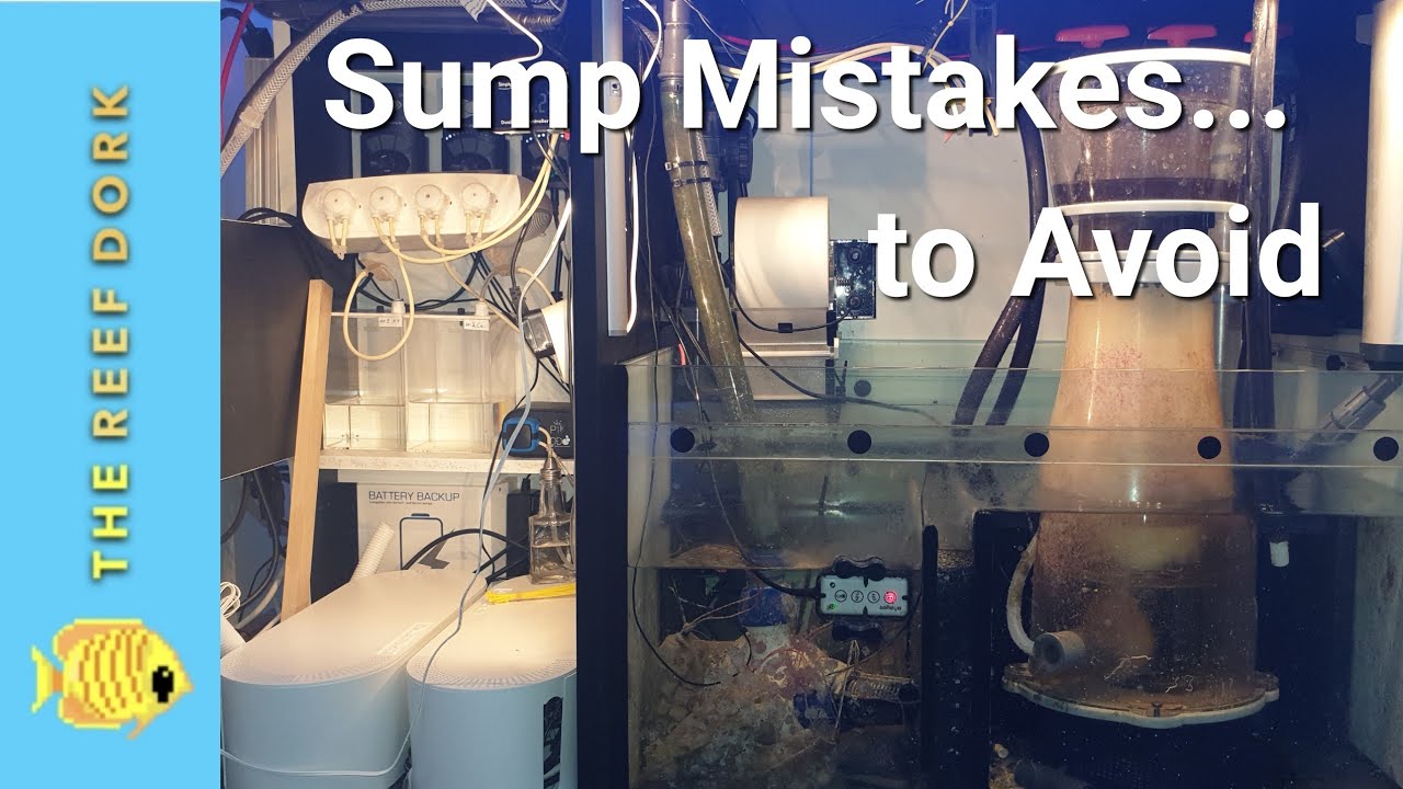 Red Sea Reefer v3 Sump At 18 Months: Things I Wish I'd Done