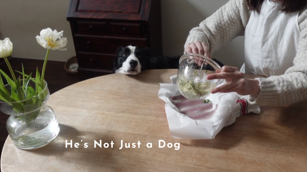 ボーダーコリーと暮らして2年、気づいた特別な瞬間 The Day I Realized a Border Collie Is More Than Just a Dog