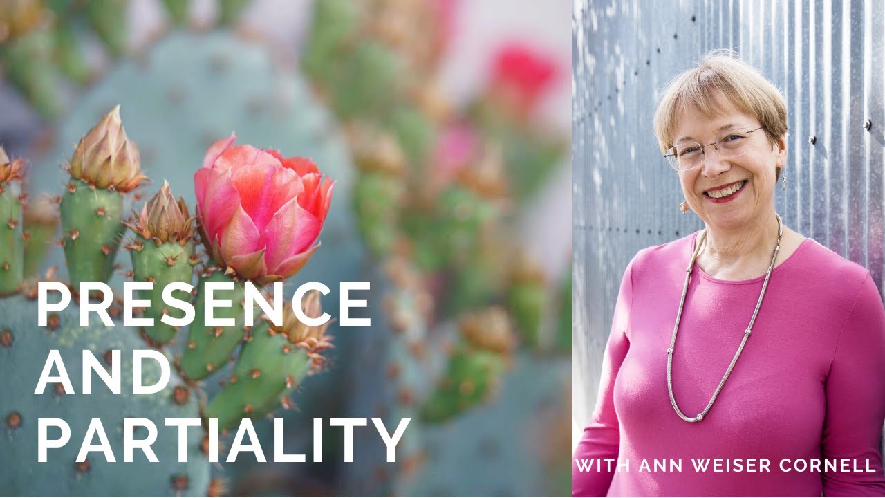Presence and Partiality Webinar