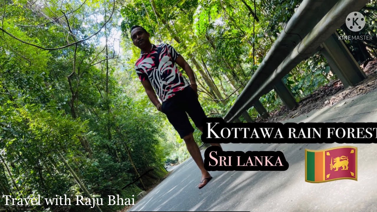 Kottawa Rain Forest | කොට්ටව රක්ෂිතය | Srilanka | Travel with Raju bhai