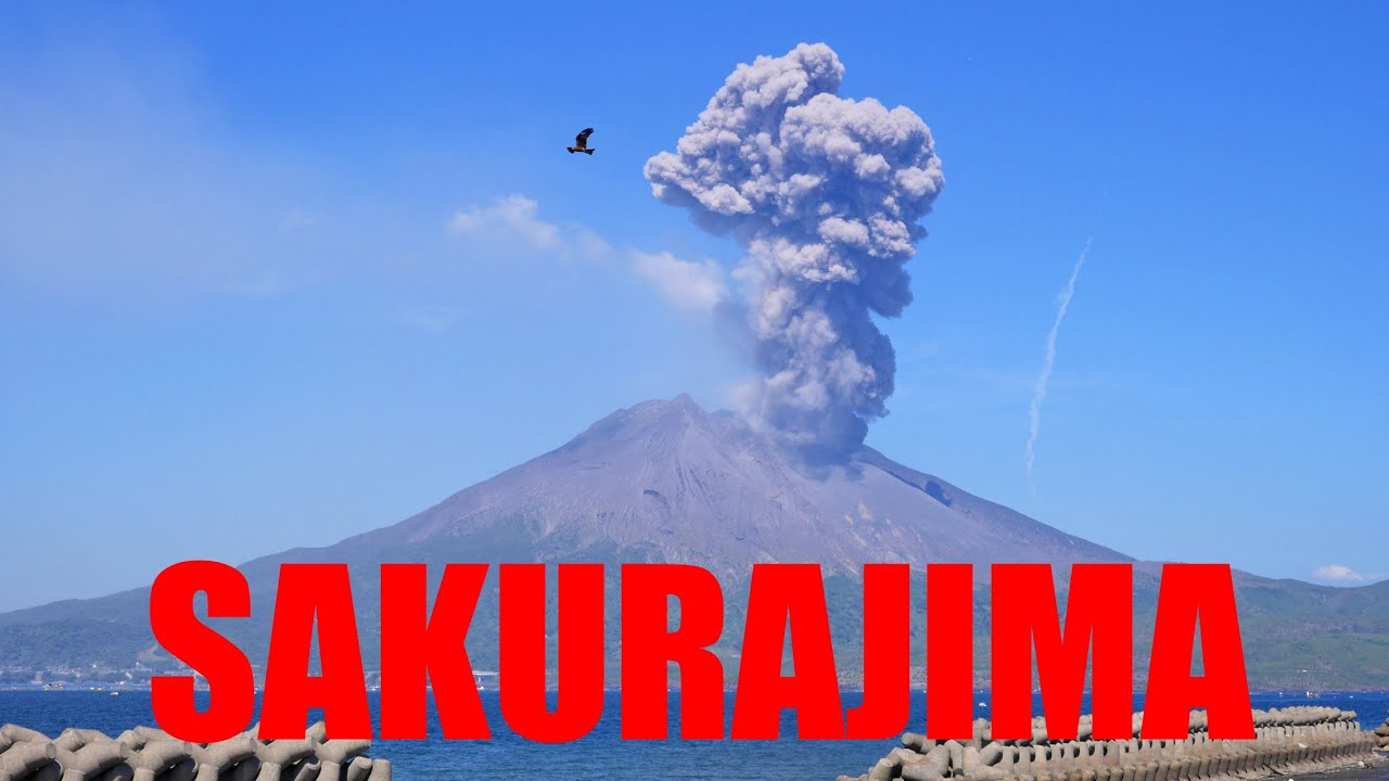 きもつき情報局　コディのビデオ日記　圧巻のSAKURAJIMA！