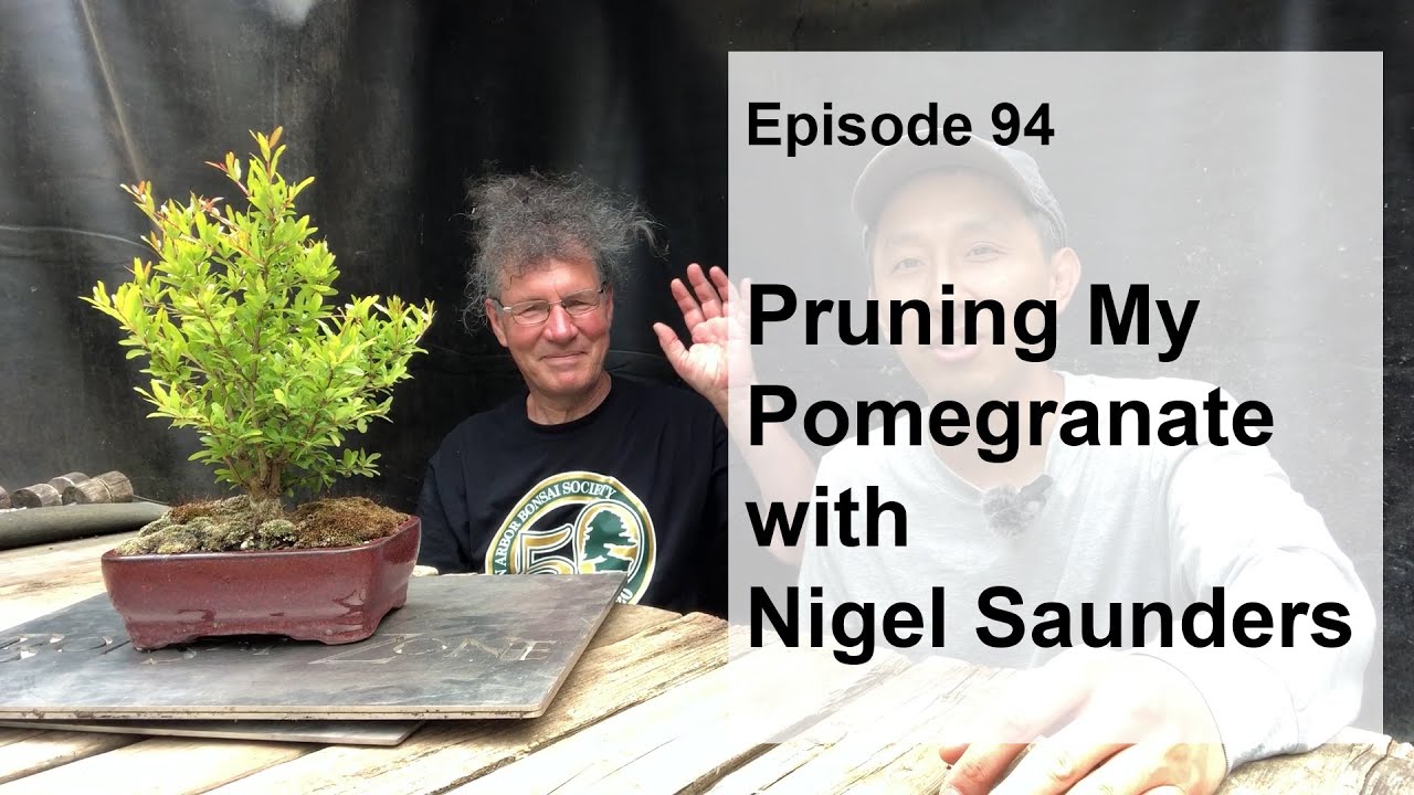 Episode 94, Pruning My Pomegranate With Nigel Saunders