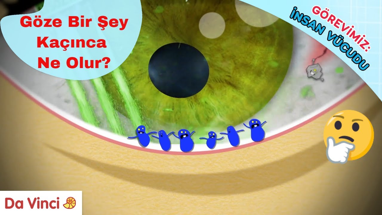 G&ouml;ze Bir Şey Ka&ccedil;arsa Ne Olur 👁️😰| G&ouml;revimiz: İnsan V&uuml;cudu | Da Vinci TV T&uuml;rkiye