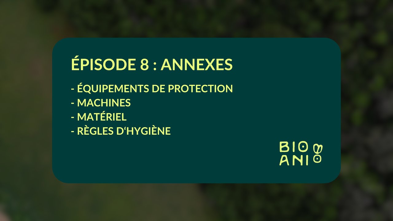 GUIDE MSN (BSF) | Épisode 8 | ANNEXES