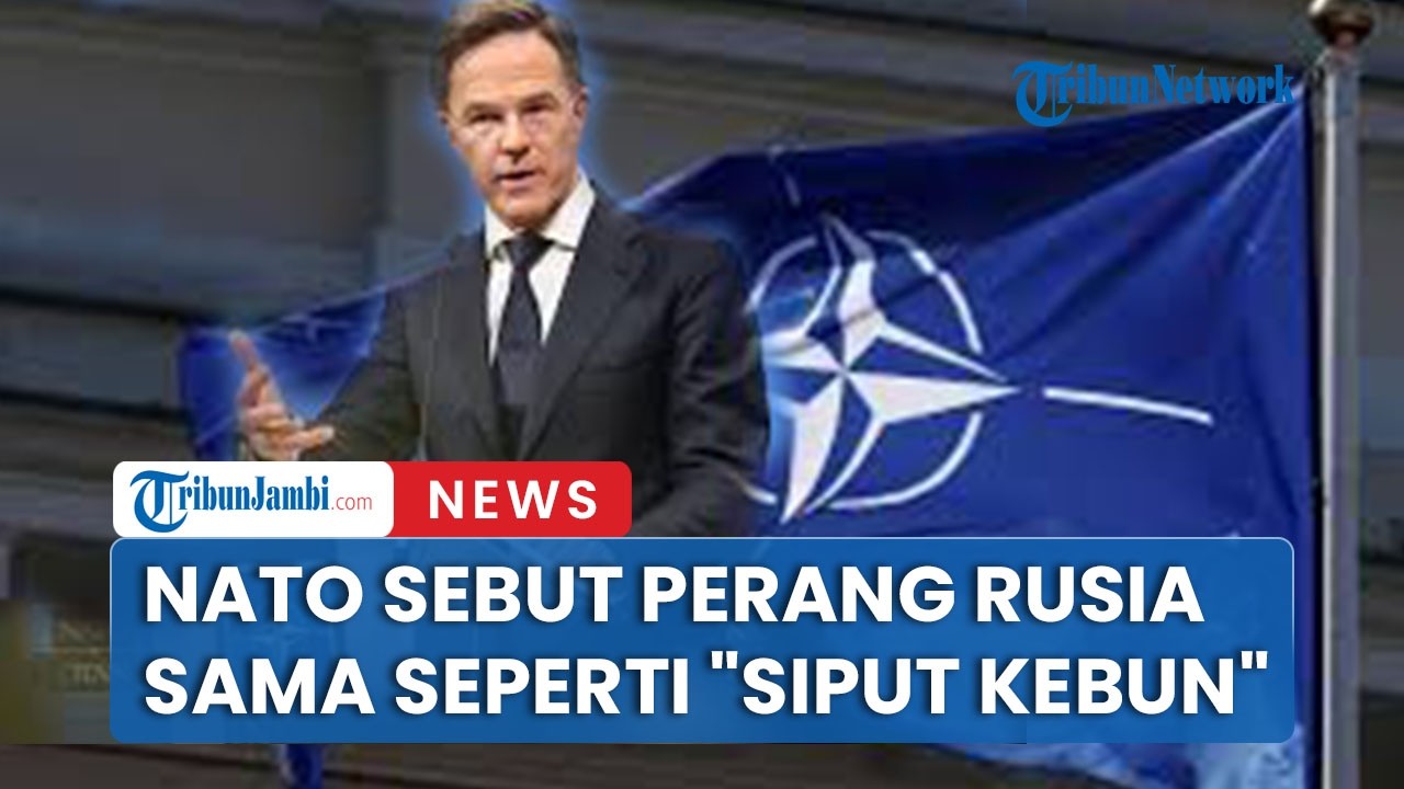 Kepala Nato Mark Rutte Sebut Perang Rusia-Ukraina Seperti 
