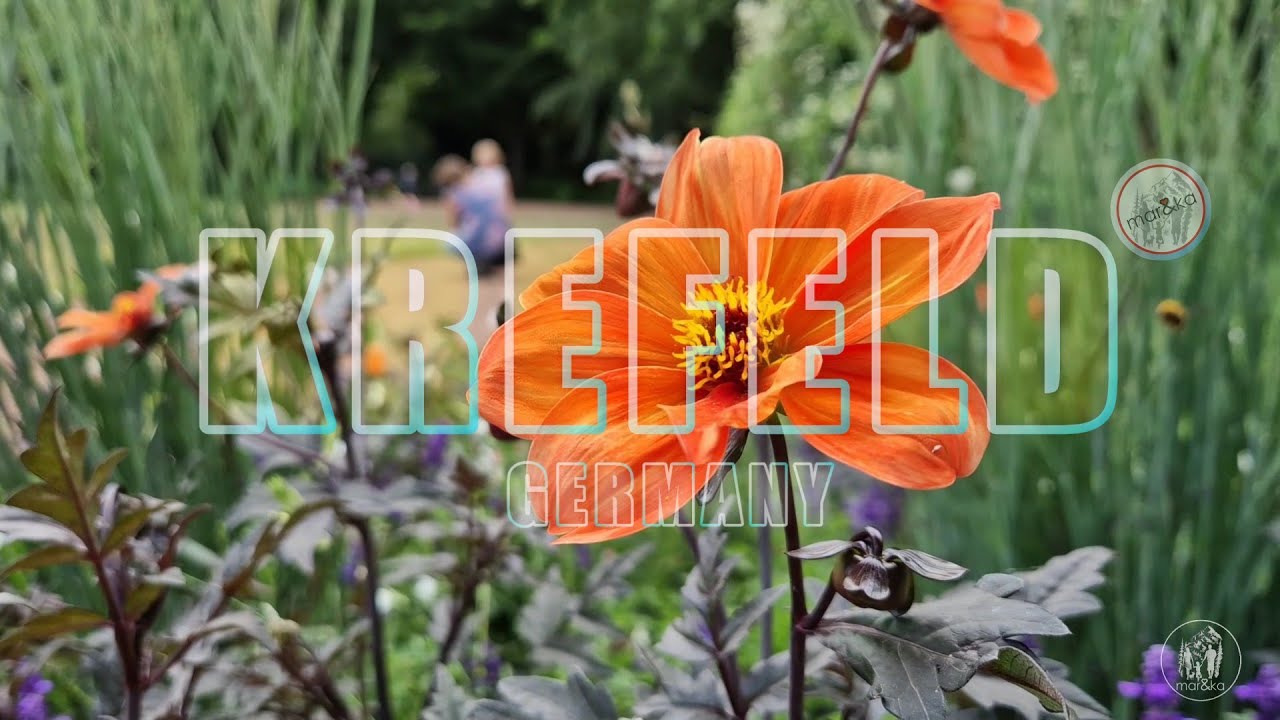 Rodzinna przygoda 🌸 w ogrodzie botanicznym i na drewnianym placu zabaw 🛝 Krefeld 🇩🇪