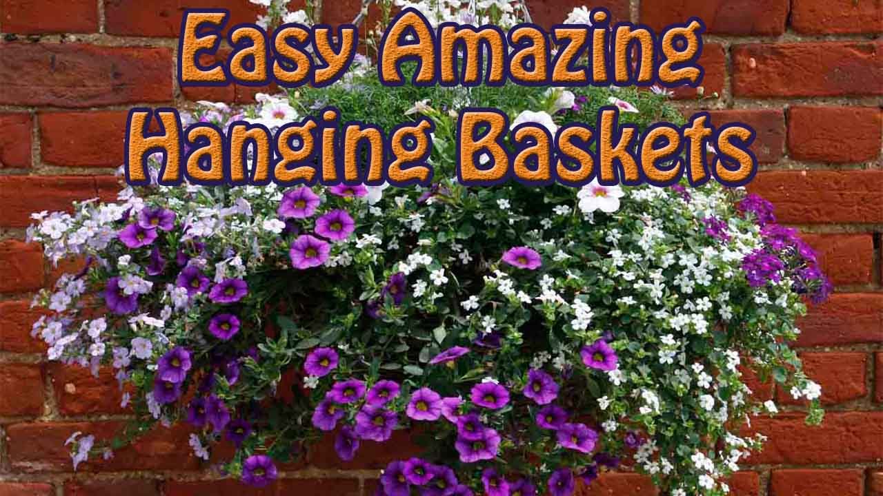 Easiest Way To Start Make A Hanging Basket For Amazing Display