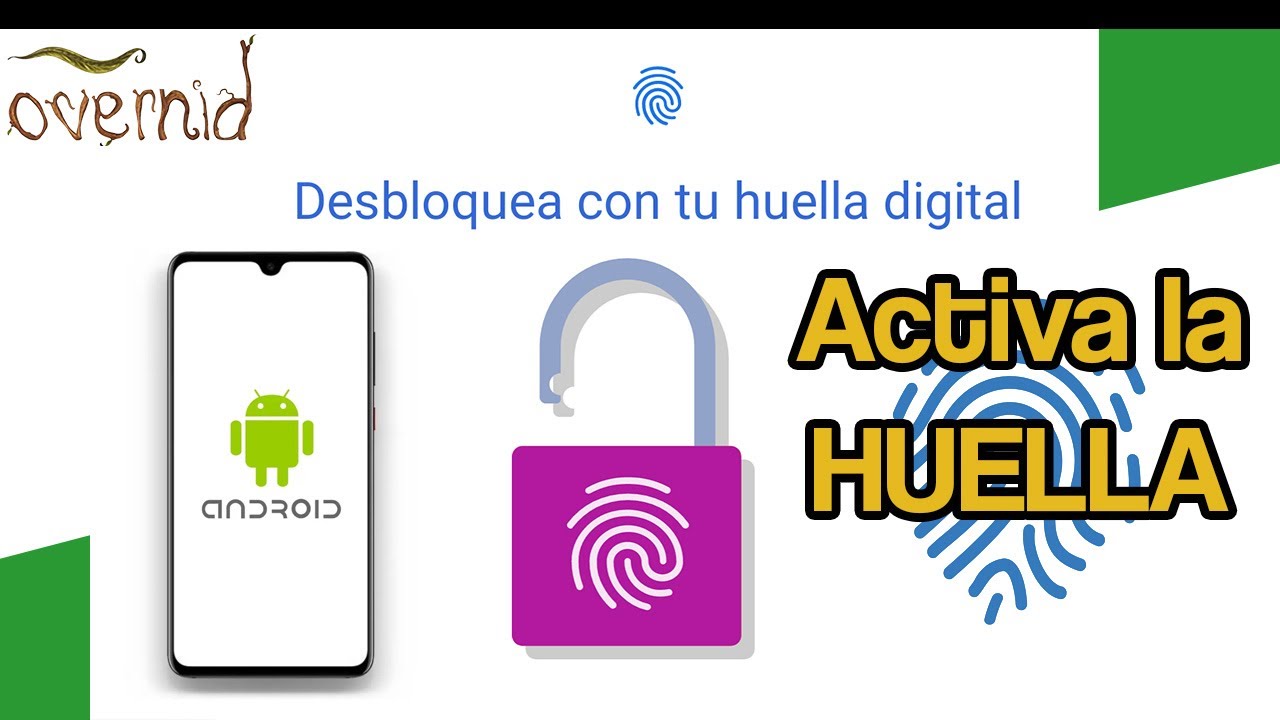 No aparece la opci&oacute;n de huella digital en Android - Soluci&oacute;n para guardar huellas
