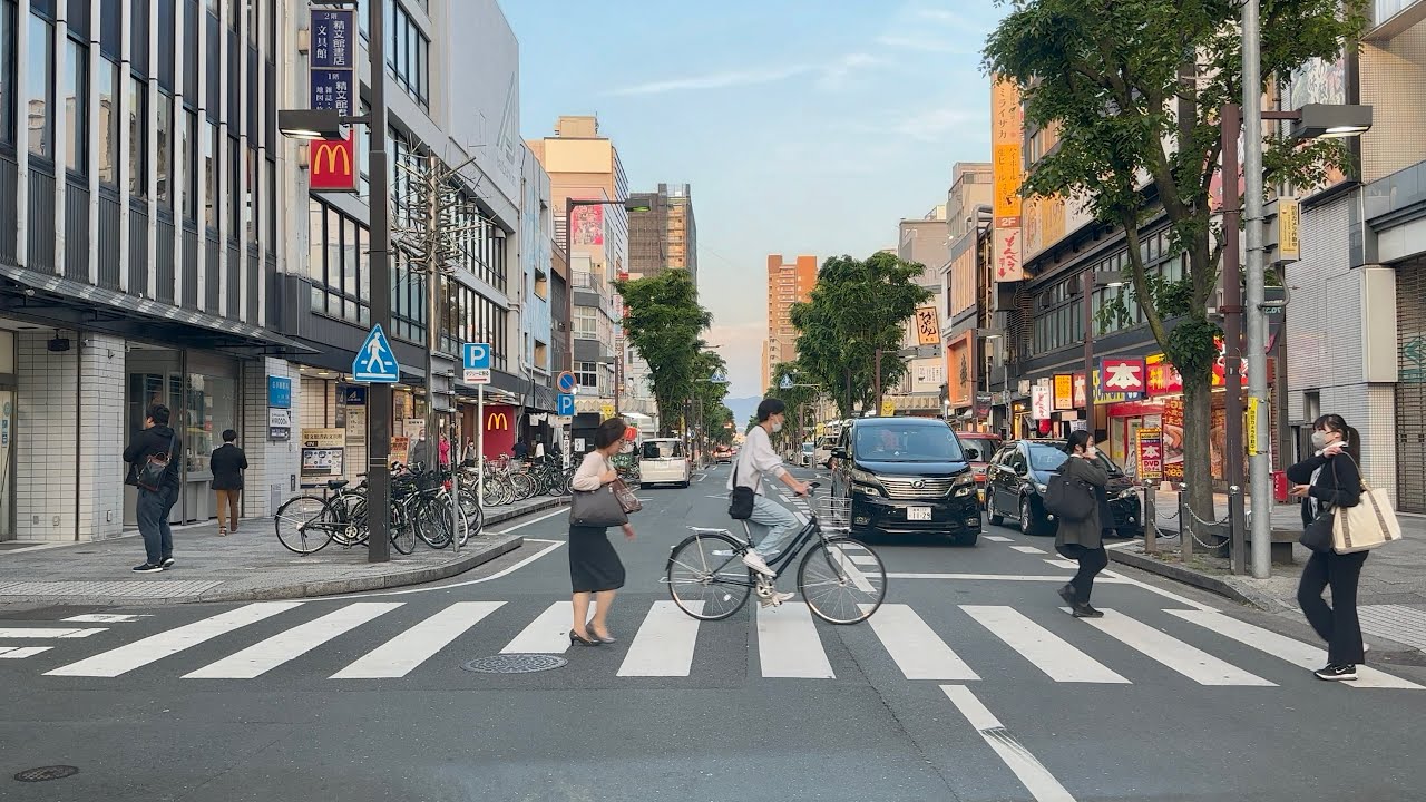 Japan Roads | Central Toyohashi City Driving Tour
