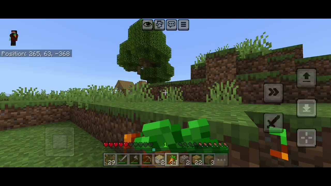 Speed run vs hunter with my sister 