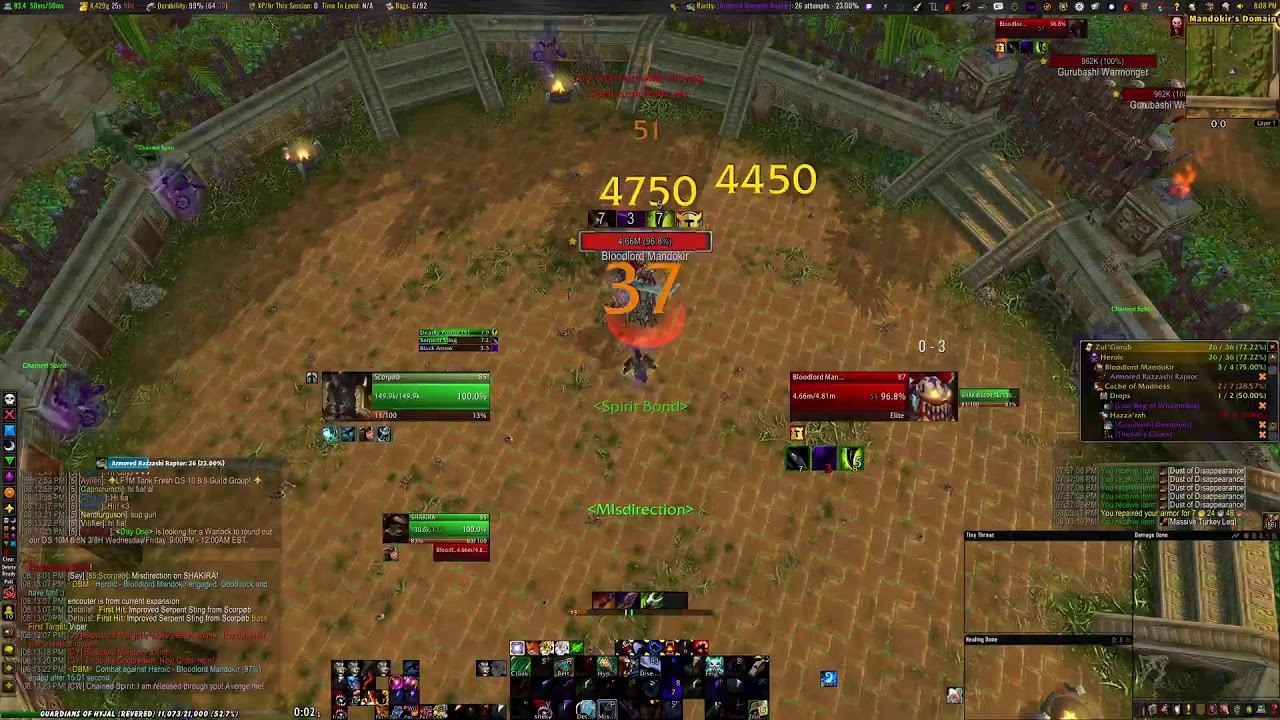 Bloodlord Mandokir mount farm solos (easy consistent strat) [Cata]