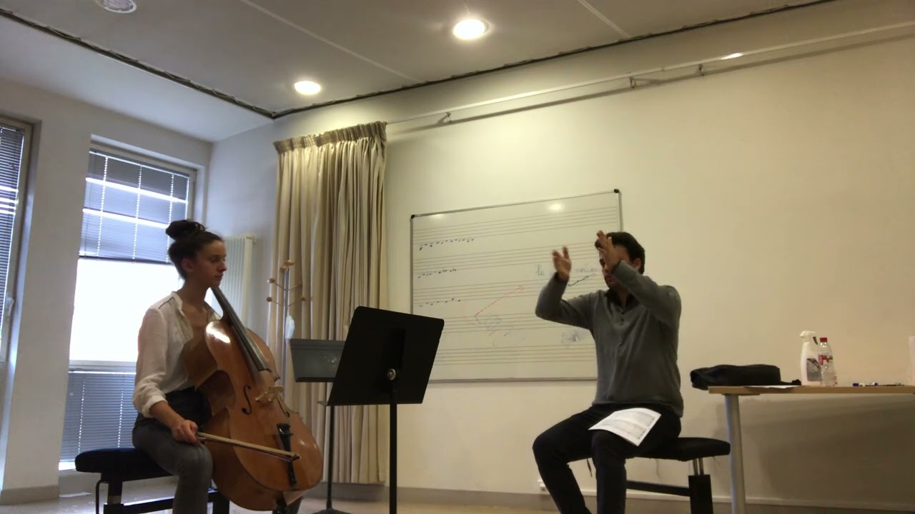 Mozart Symphony 40 Cello Exerpt lesson