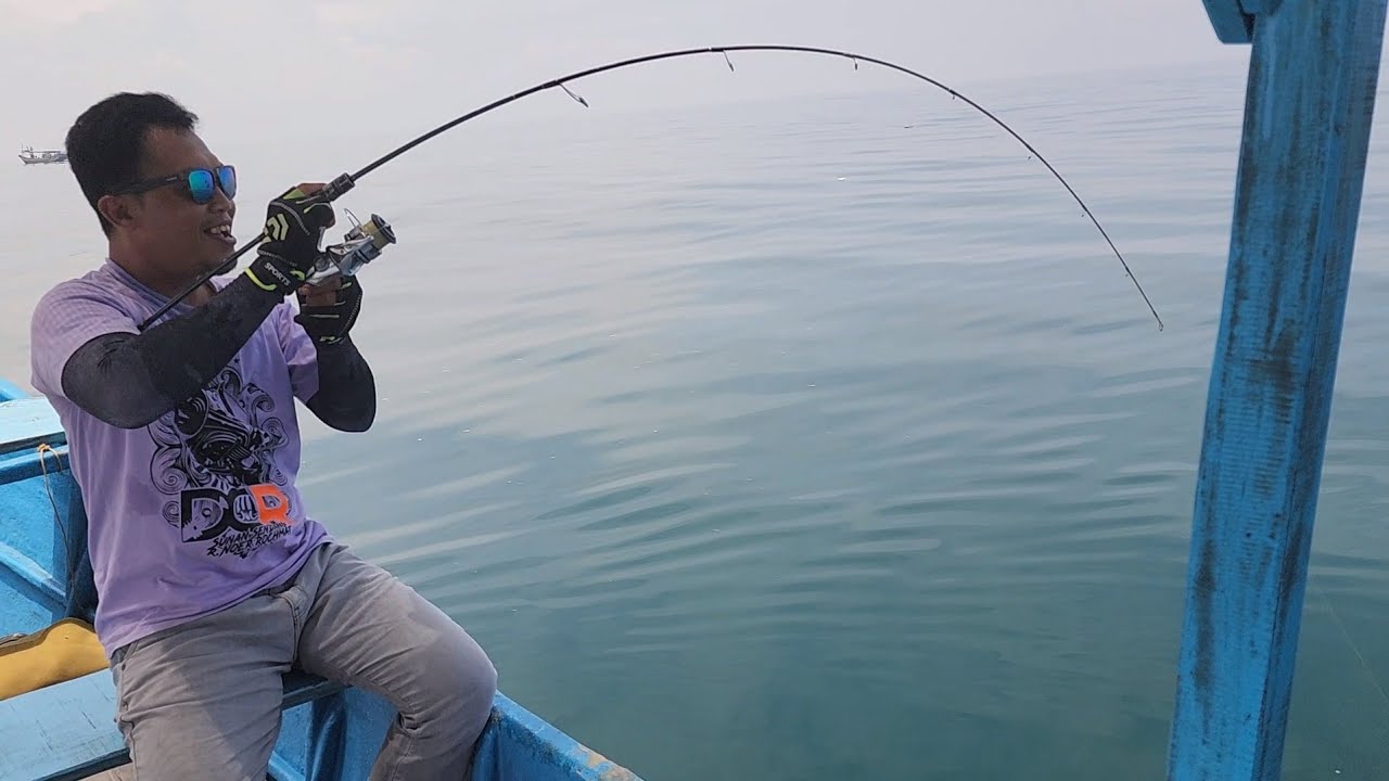 Light jigging Daiwa Blue becker pe1-3