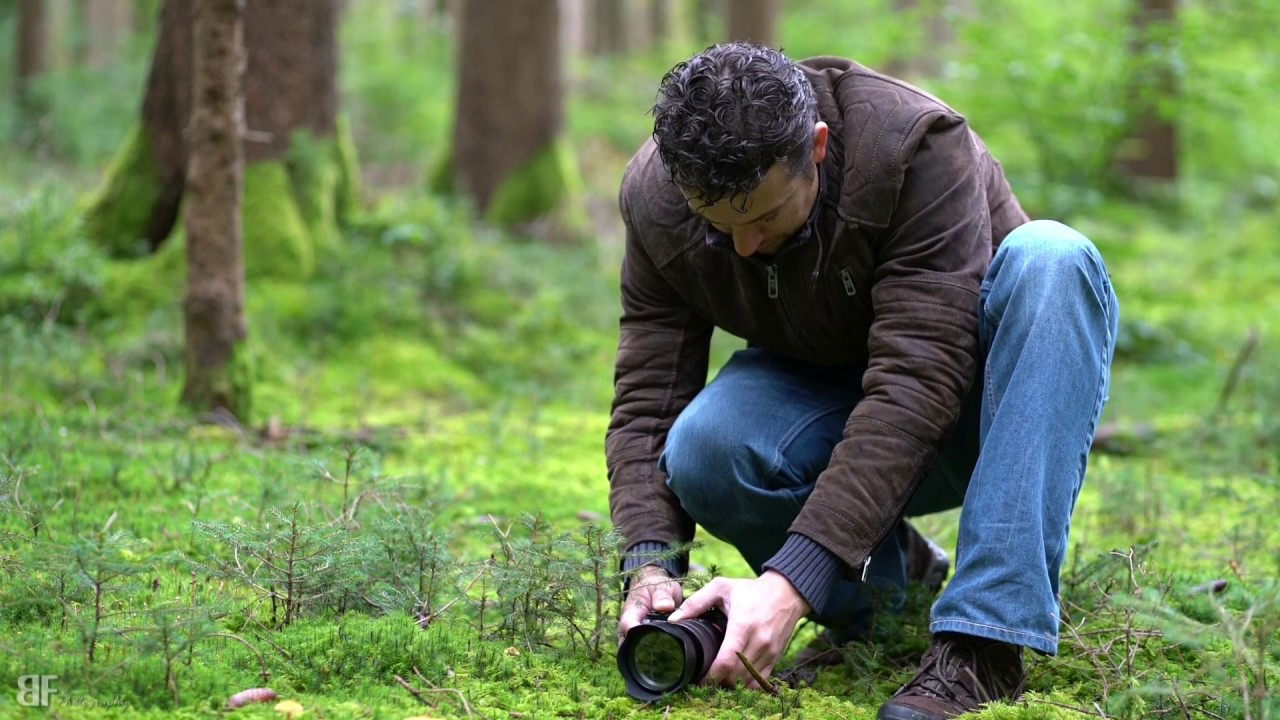 Pilze Fotografieren Quick Tipps #11