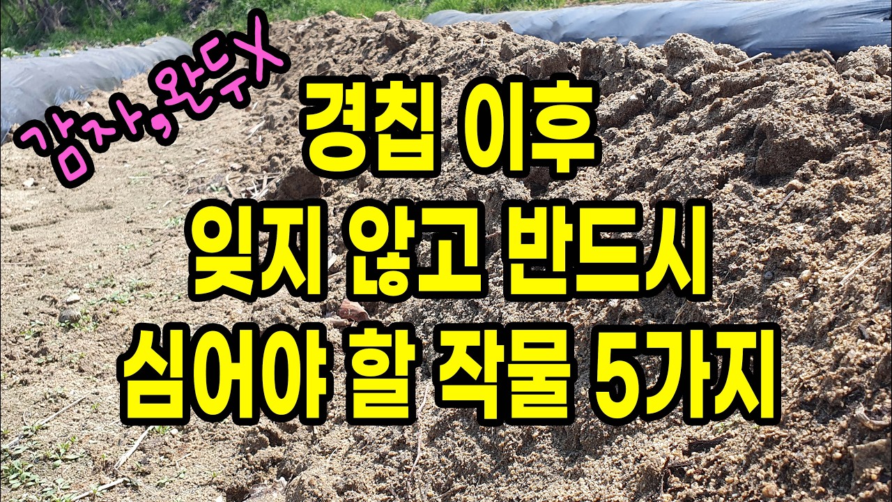 경칩 이후 잊지 않고 반드시 심어야 할 작물 5가지