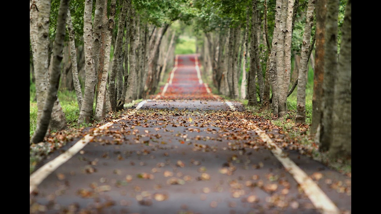 Being Aware Of Emotional Triggers: Guided Meditation For Clarity & Calm
