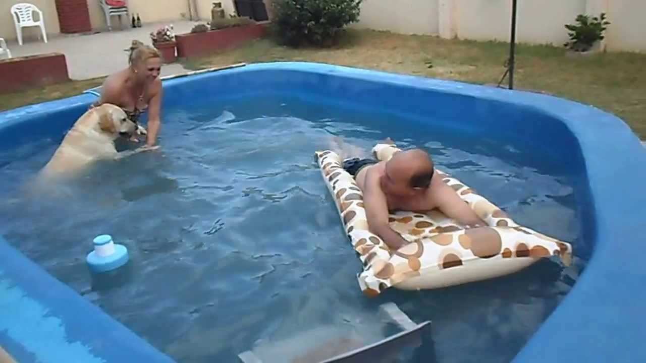 Labrador jugando en la pileta. Nuestro Benja!!!