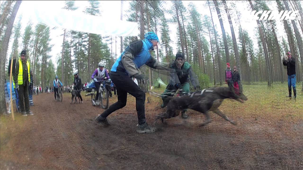 Dog pulling with Kickbike