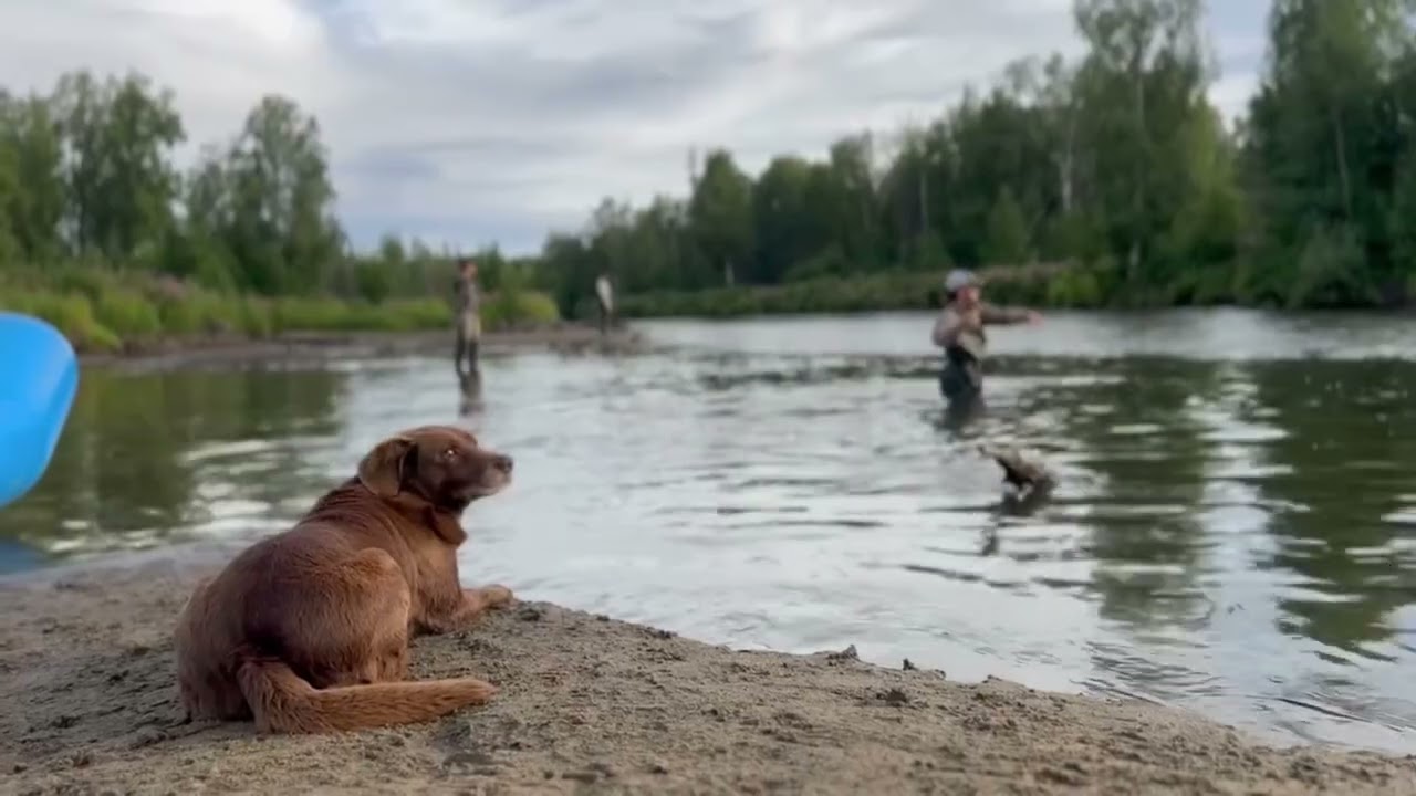 This summer you should fish with Ak Wild River Adventures!