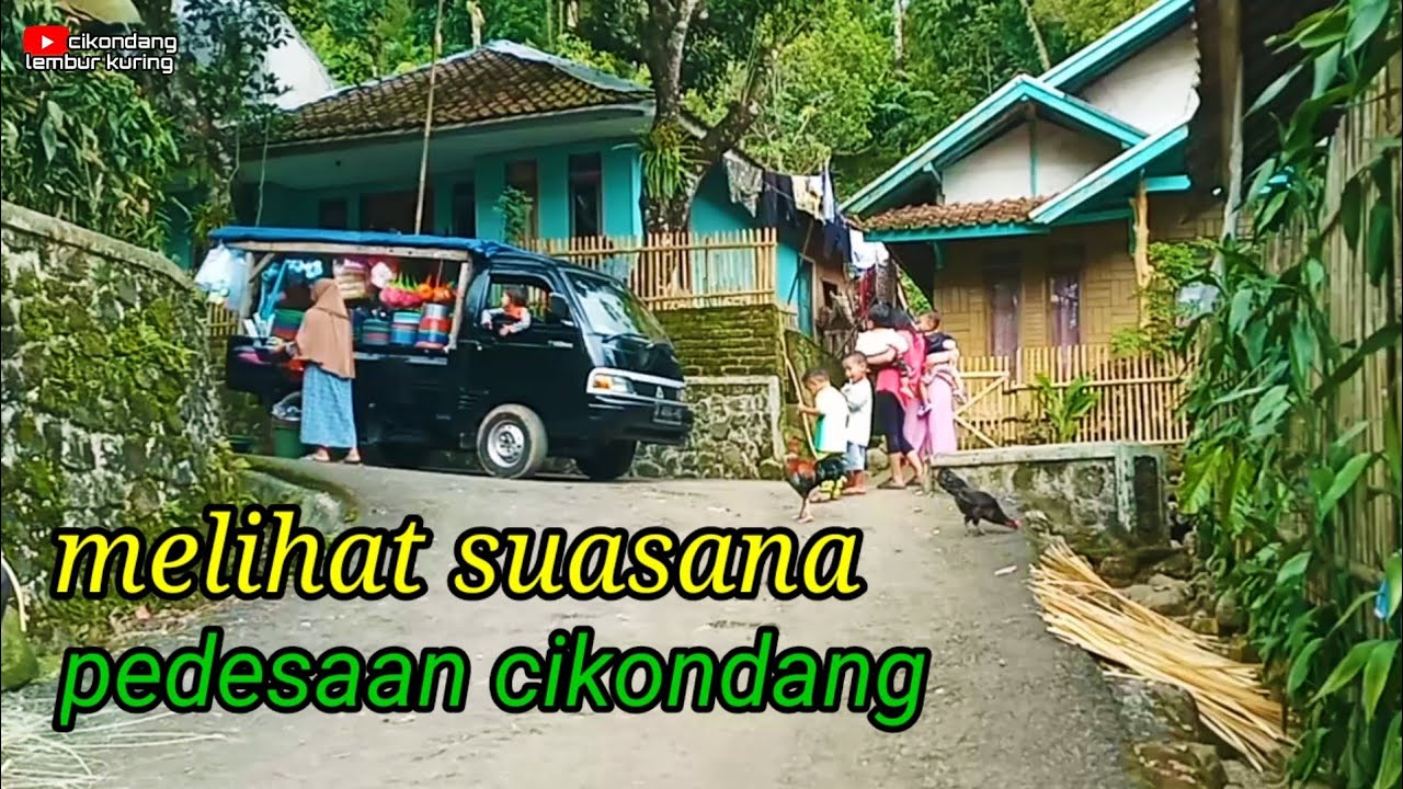 DI JAMIN BETAH MELIHAT SUASANA KEHIDUPAN PEDESAAN CIKONDANG LEMBUR KURING