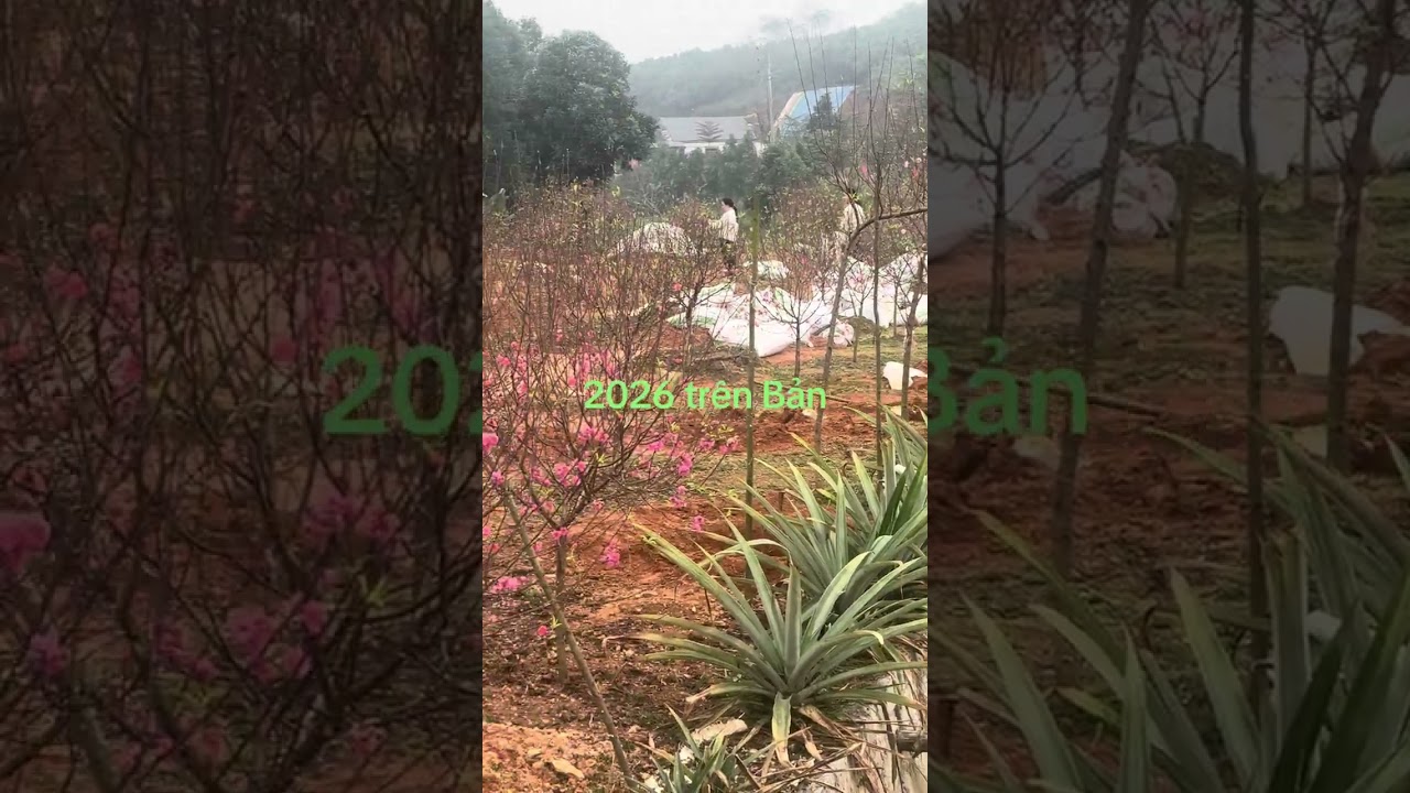 ngày 26 tháng 2, 2026