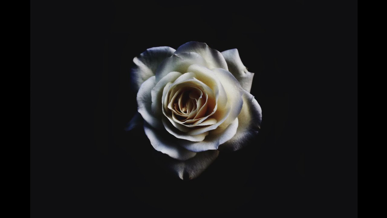 Fragile Hearts, Shattered Mirrors - KaitTheAnarchist