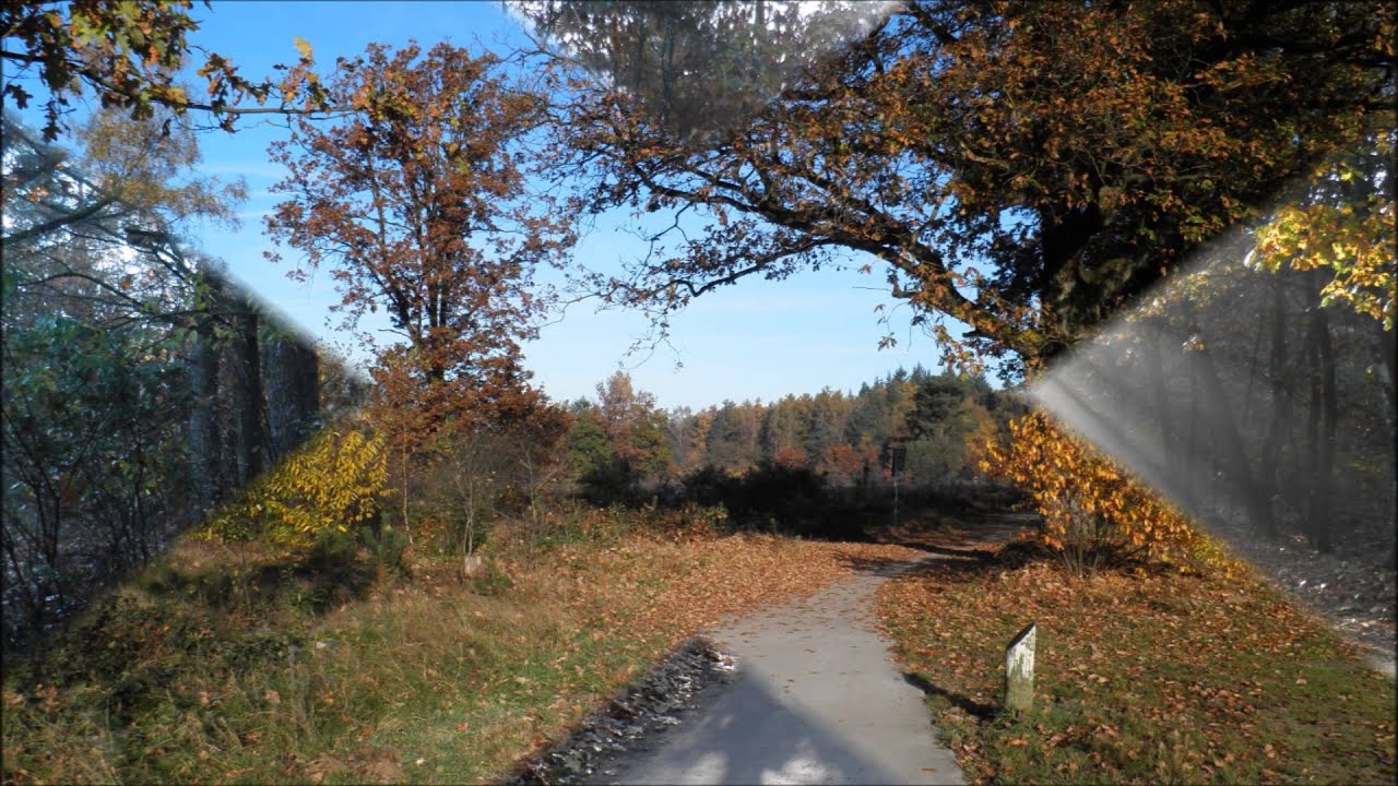 Boeschoten, Speulder  en Sprielderbos