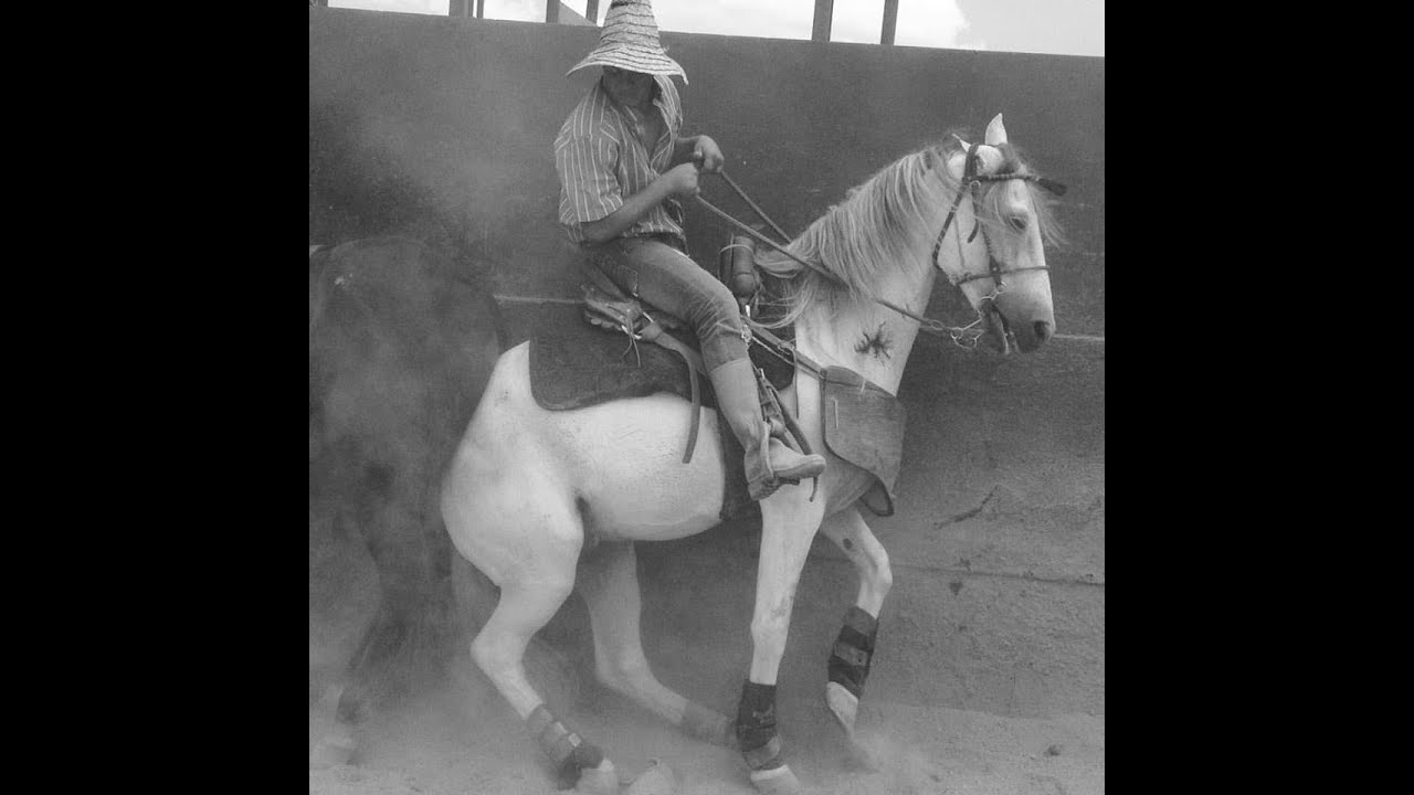 EL ESPARRIN LyM Eduard Mendoza