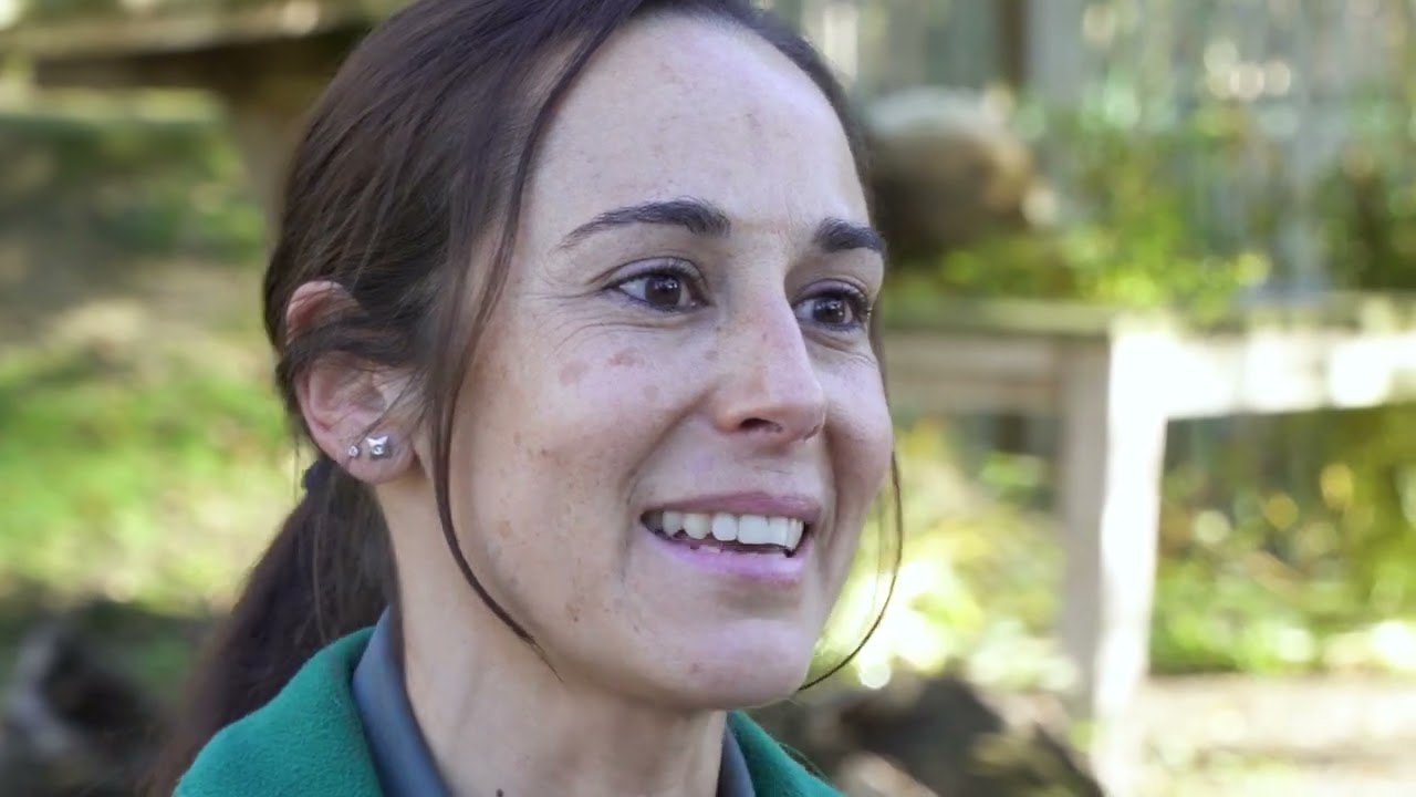 Conoce la historia de Rebeca y Javier en nuestro 50 aniversario