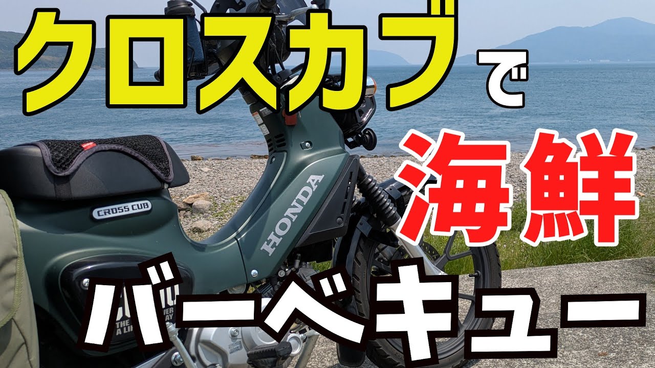 魚の王 石鯛を食らう旅路｜バイクVlog