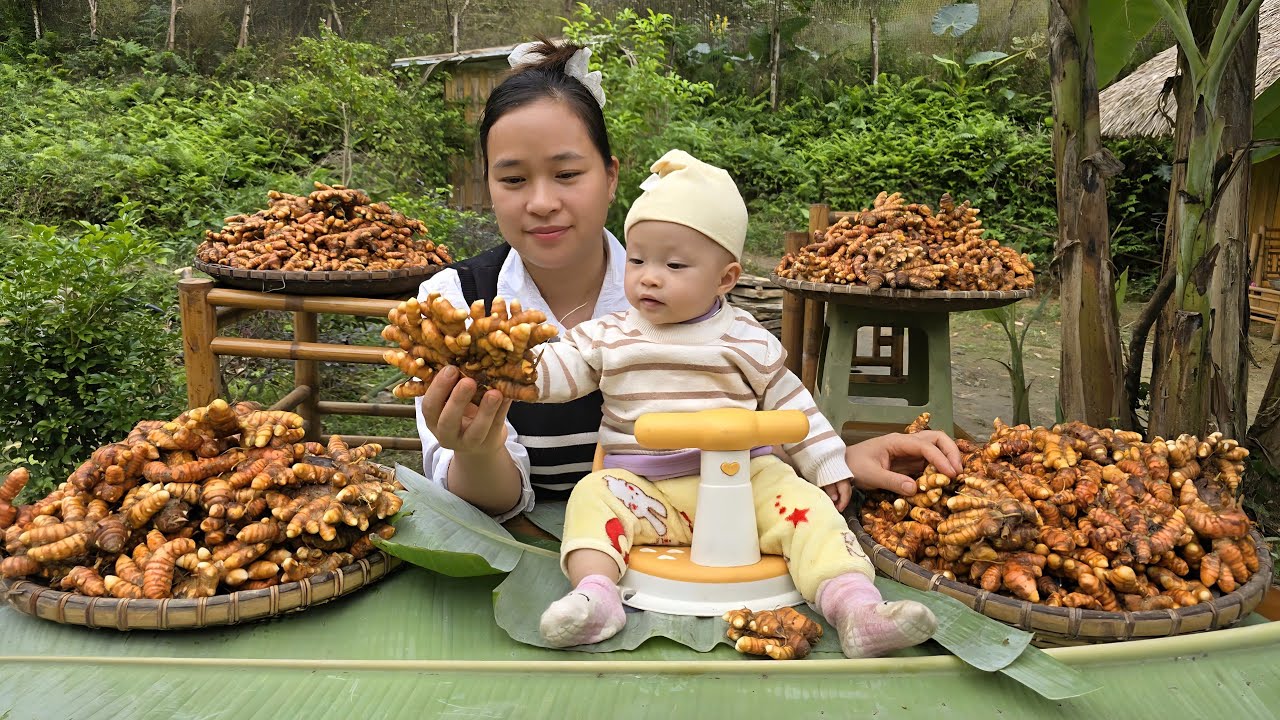 Harvesting Turmeric from the Garden | Cooking Traditional Dishes & Making Turmeric Honey