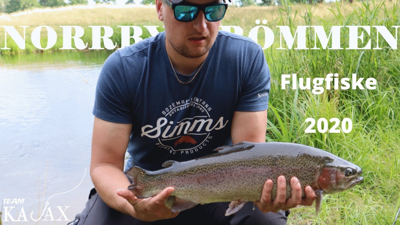 Stor öring och regnbåge i Norrbyströmmen! | Flugfiske 2020 | Team Kajax