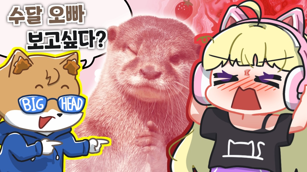 아 뭐래!!! 짜증나 진짜ㅏㅏㅏㅏ | 콧김나옴 합방 하이라이트