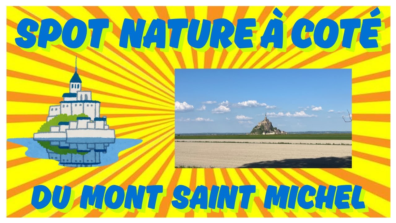 Notre spot nature au Mont Saint Michel